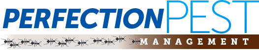 BugGuy Logo