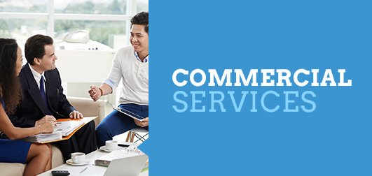 Commercial Pest Services