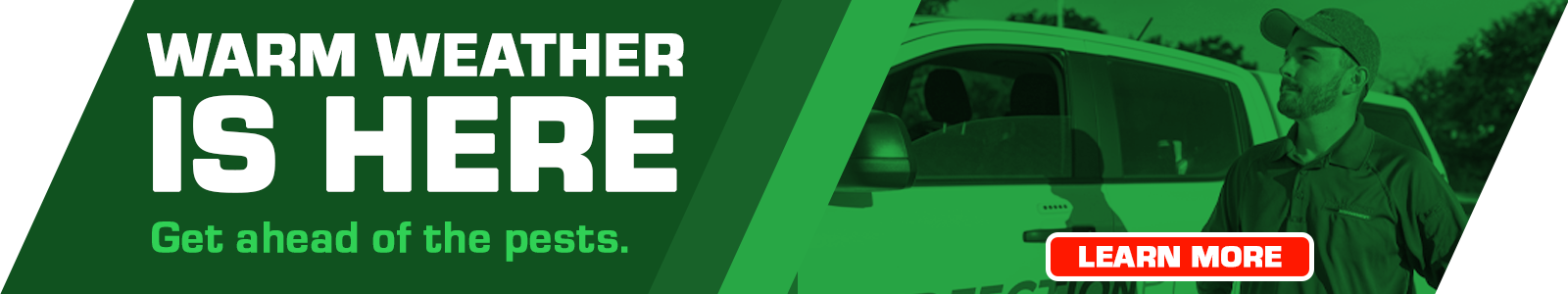 warm weather is here website homepage button